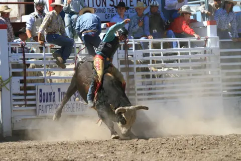 A cowboy rides a bucking bull at a rodeo while spectators watch from behind a fence.