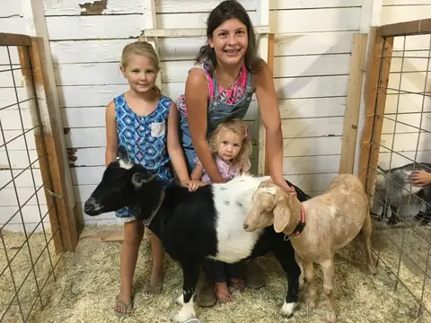 Livestock barn at Boundary County Fair.