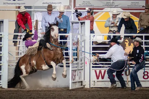 A cowboy is bucked off a rearing horse at a rodeo arena.