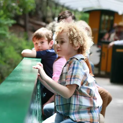 Children looking out of a vehicle window.