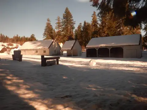 A snowy landscape with buildings and pine trees under a clear sky.