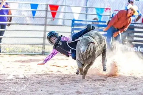 A child falls off a running sheep in an arena.