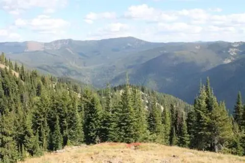 A scenic view of rolling mountains covered in pine trees under a cloudy sky.