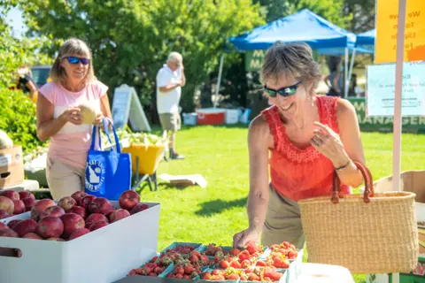 People shopping at an outdoor farmers market.