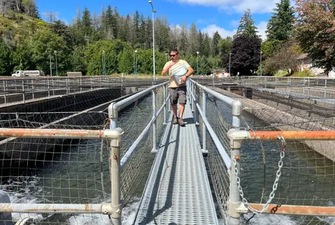 A man carries buckets across a metal walkway above fish hatchery raceways.