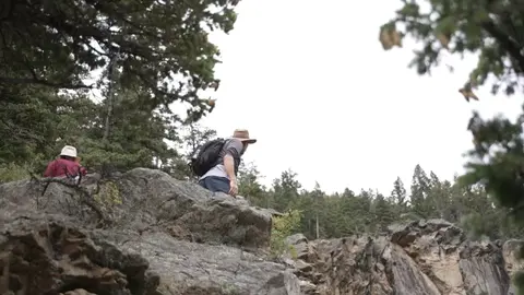 Two people hiking on rocky terrain among trees.