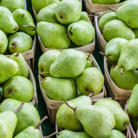 A close-up photograph of several baskets filled with fresh green pears.