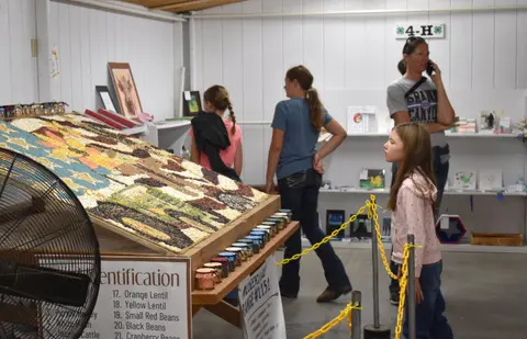 People look at a large seed mosaic display inside a building.