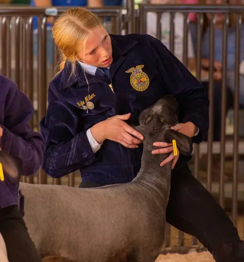 A young woman wearing an FFA jacket holds a sheep in an indoor arena.