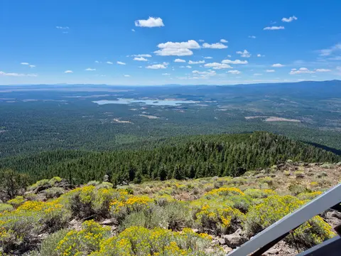A scenic view of a vast forest, distant water, and mountains under a blue sky.