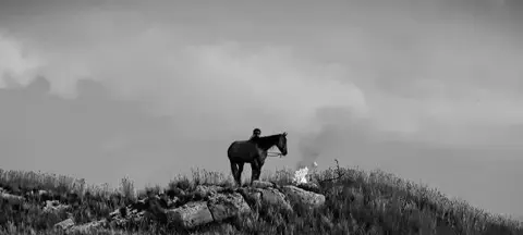 A person on a horse stands on a grassy hill near a small fire.