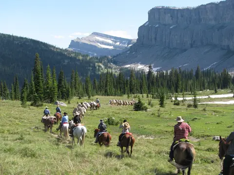 A group of people ride horses through a mountain meadow.