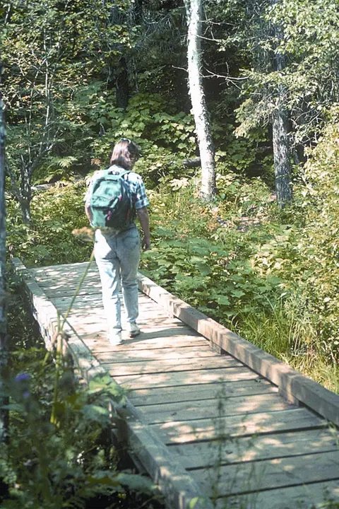 Hiker along the International Selkirk Loop.