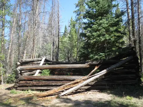 An old wooden cabin ruin surrounded by trees.