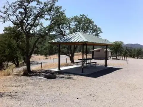 A picnic shelter stands in a cleared, tree-lined outdoor area.