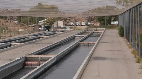 A view of long concrete fish hatchery raceways outdoors.