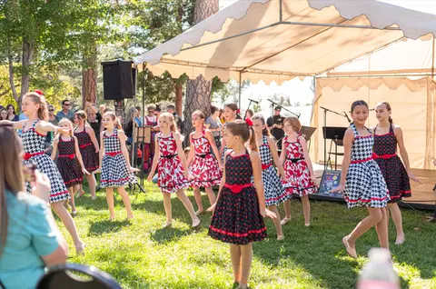 A group of young dancers perform on a grassy stage under a tent.