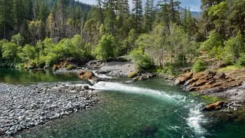 A clear river flowing through a rocky, forested landscape.