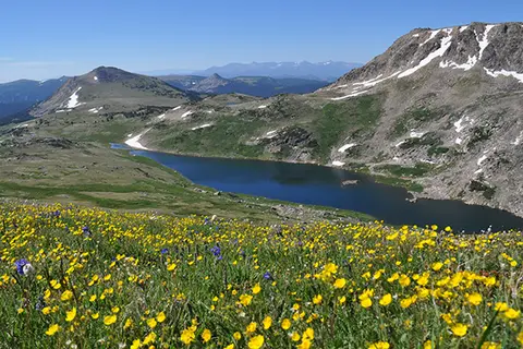 A scenic landscape showing a mountain lake surrounded by alpine meadows with wildflowers.