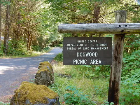 Dogwood Picnic Area along Quartzville Back Country Byway.