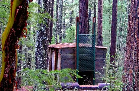 A small wooden building stands among tall trees in a forest.