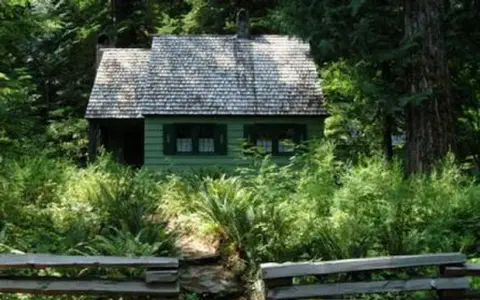 A small green cabin surrounded by lush forest and a wooden fence.