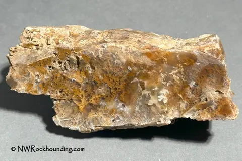 A photograph of a piece of rock.