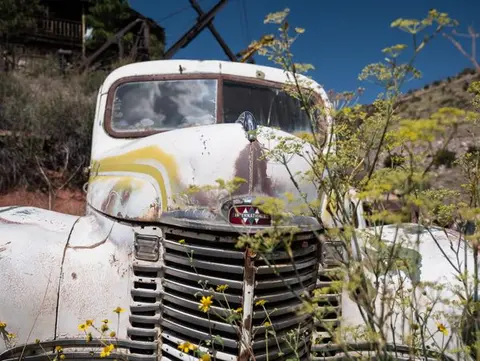 An old abandoned white truck outdoors with yellow flowers in the foreground.
