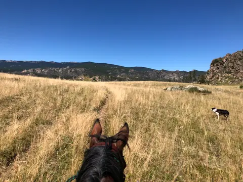 A view from horseback across a grassy field toward distant mountains with a dog walking nearby.