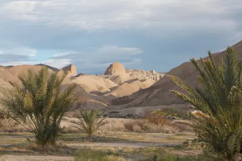 Palm trees in front of desert hills and mountains under a cloudy sky.