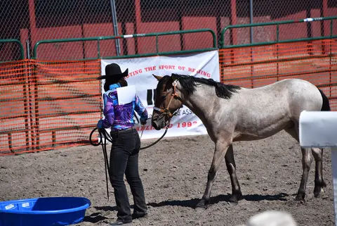 Horse contest at Eastern Idaho State Fair.