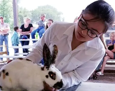 A young person holds a spotted rabbit at an outdoor event.