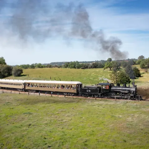A vintage steam train travels through a grassy landscape.