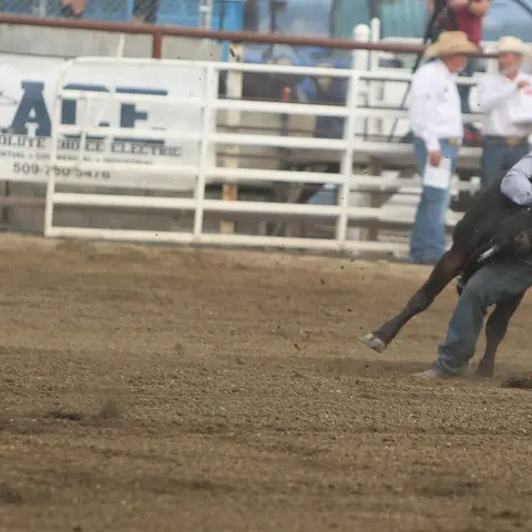 A cowboy wrestles a calf in a dirt arena at a rodeo.
