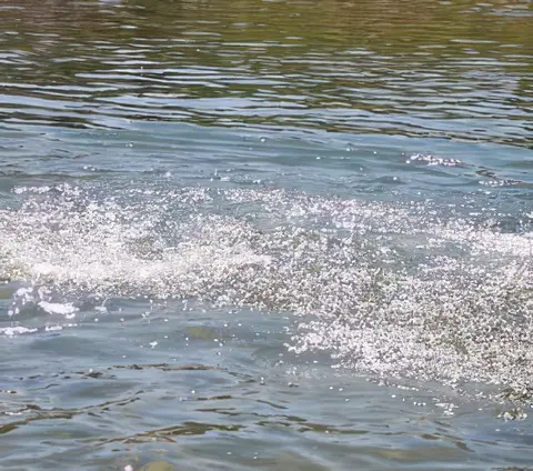 Water splashing in a river or lake.