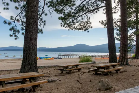 Pine trees frame a view of a sandy beach, lake, and mountains.