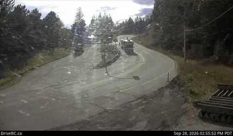 An outdoor security camera view of a curving roadway through a forest.
