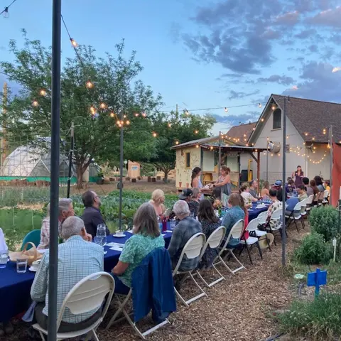 People gathered for an outdoor dinner event at dusk.