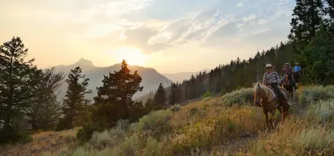 People ride horses along a mountain trail at sunset.