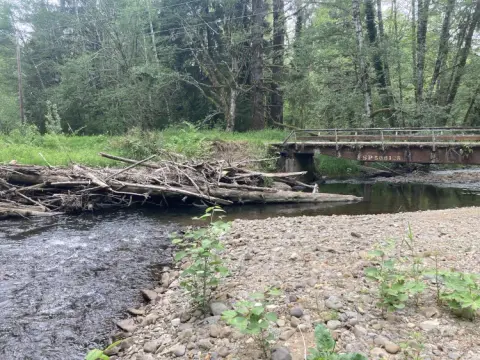 A small bridge over a shallow river with debris piled up near the bank.
