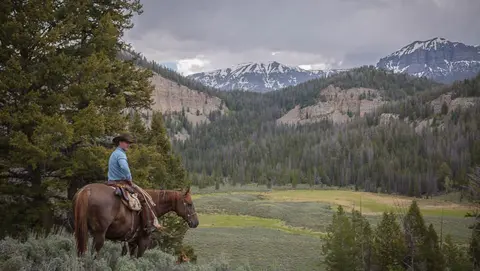 A person on horseback looking out over a mountain valley.