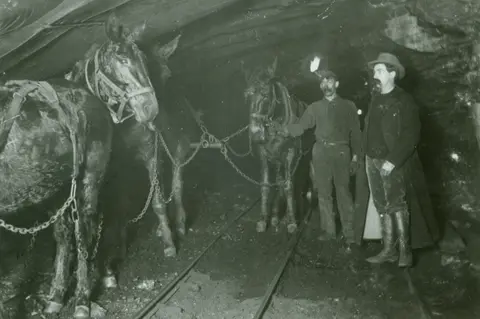 Historic photo showing miners with mules in an underground mine.