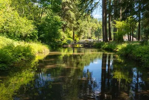 Waterway at Leaburg Hatchery.