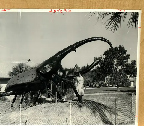 A black and white photograph of a woman standing next to a giant beetle sculpture outdoors.