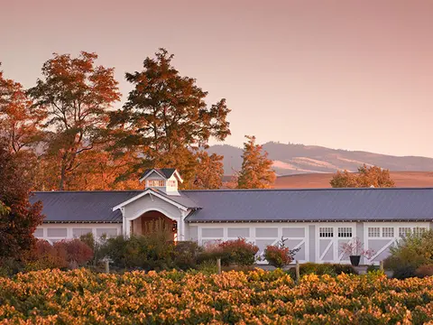 A long building behind a vineyard with rolling hills in the background during sunset.