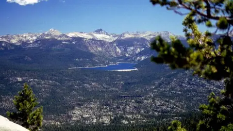A scenic view of a mountain range with a lake and forest in the foreground.