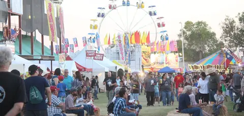 A crowd of people enjoys an outdoor carnival with a Ferris wheel and tents.