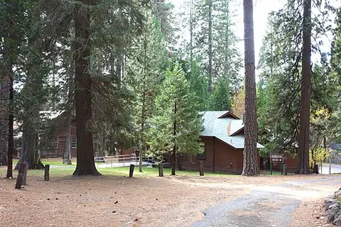 A view of rustic wooden buildings nestled among tall pine trees and a dirt path.