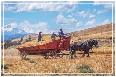 A photograph shows people harvesting hay on a horse-drawn wagon with mountains in the background.