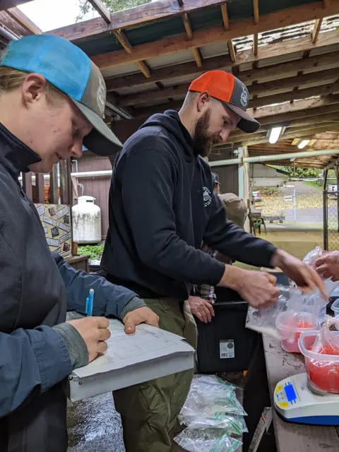 People working under an open shelter, one writing on a clipboard and another handling plastic bags filled with red material.